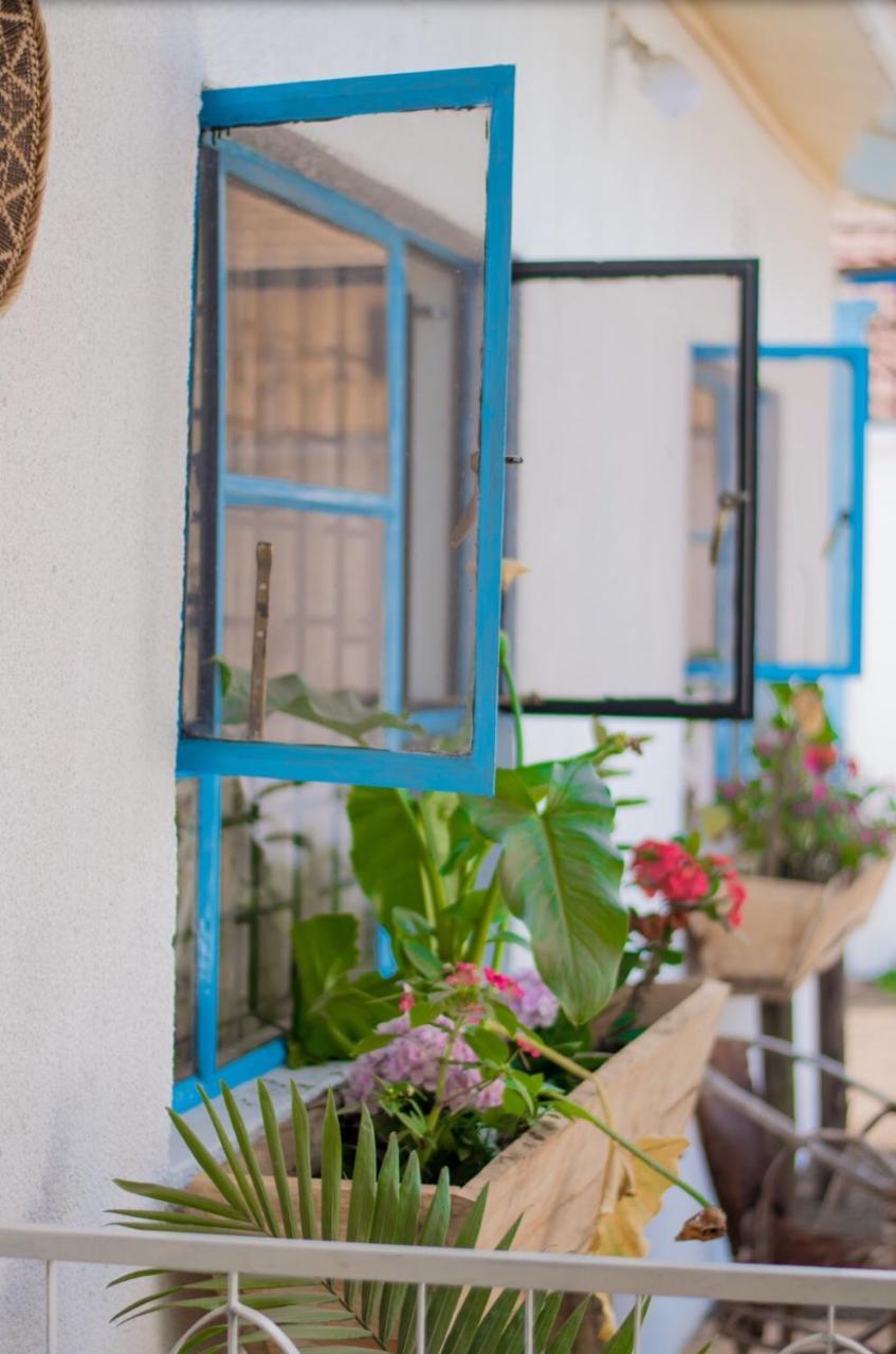 Mambo Arusha Hostel Dış mekan fotoğraf