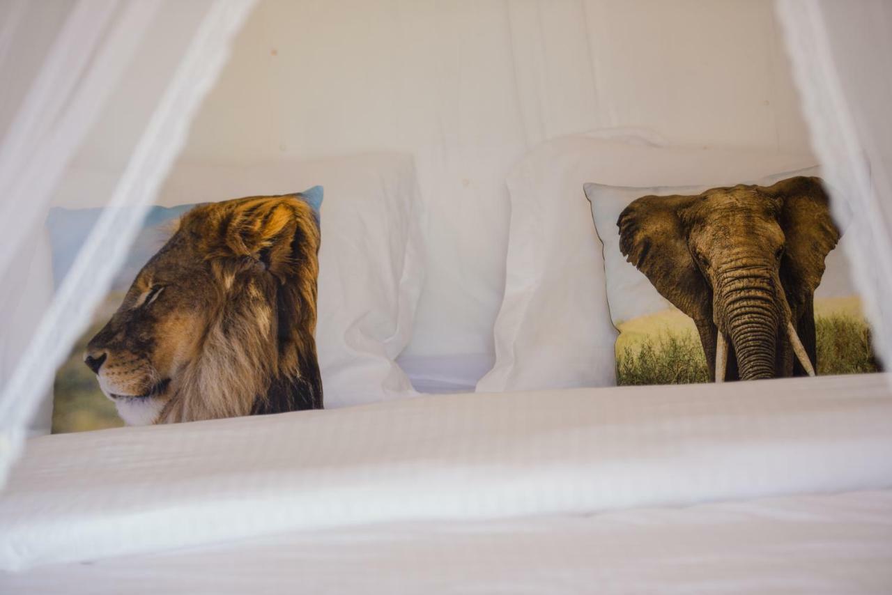 Mambo Arusha Hostel Dış mekan fotoğraf