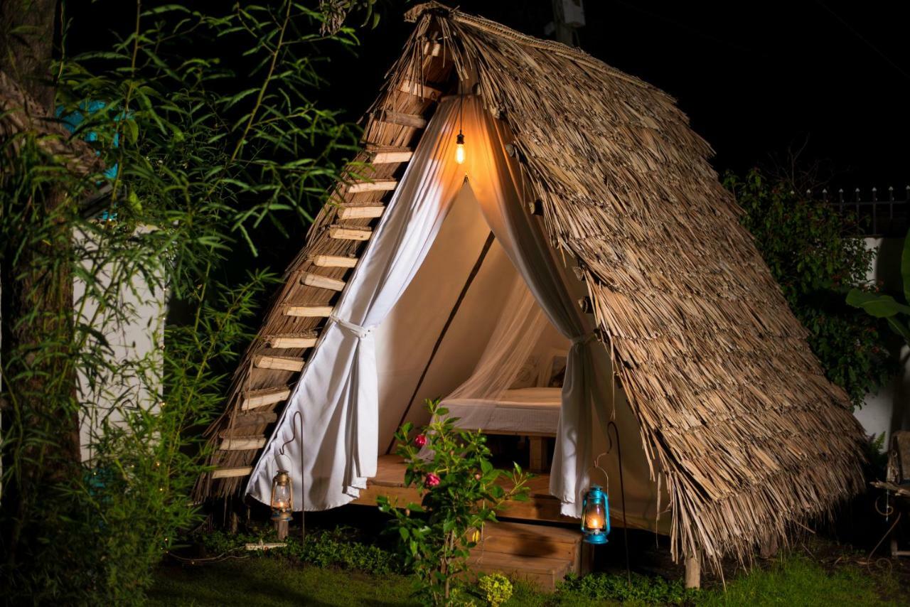 Mambo Arusha Hostel Dış mekan fotoğraf