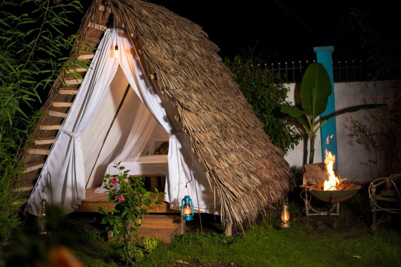 Mambo Arusha Hostel Dış mekan fotoğraf